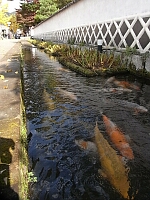 日記の画像