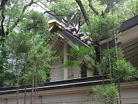 日記の画像