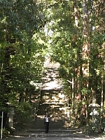 日記の画像