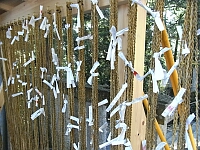 日記の画像