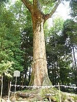 日記の画像