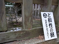 日記の画像