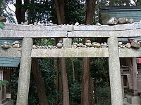 日記の画像