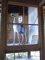 日記の画像