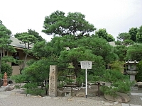 日記の画像