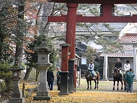 日記の画像