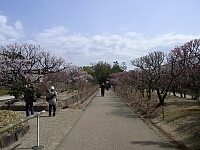 日記の画像