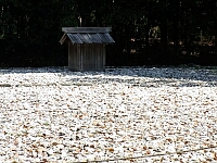 日記の画像