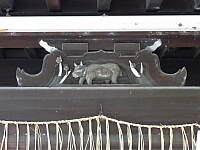 日記の画像