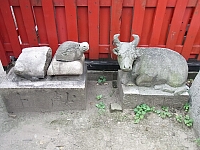 日記の画像