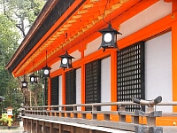 日記の画像