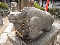 日記の画像