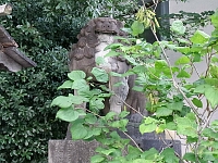 日記の画像