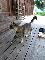 日記の画像