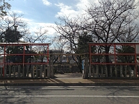 日記の画像