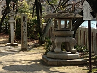 日記の画像