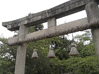 日記の画像