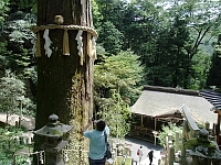 日記の画像
