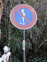 日記の画像