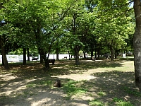 日記の画像