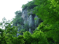 日記の画像