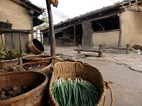 日記の画像