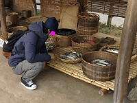 日記の画像