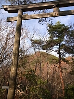 日記の画像