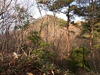 日記の画像