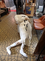 日記の画像