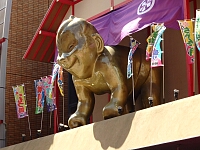 日記の画像