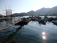 日記の画像