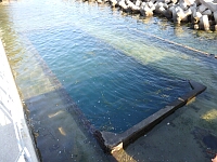 日記の画像