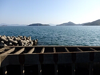 日記の画像
