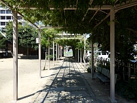 日記の画像