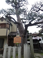 日記の画像