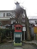 日記の画像