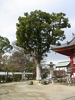 日記の画像