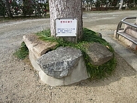 日記の画像