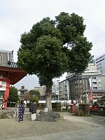 日記の画像