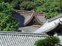 日記の画像