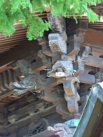 日記の画像
