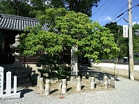 日記の画像