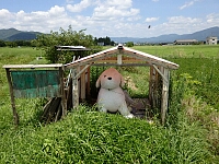 日記の画像
