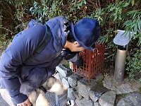 日記の画像