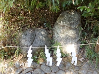 日記の画像