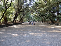 日記の画像