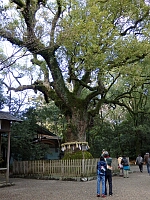 日記の画像