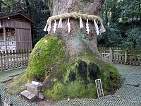 日記の画像
