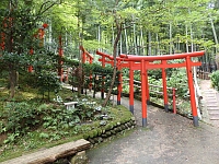 日記の画像